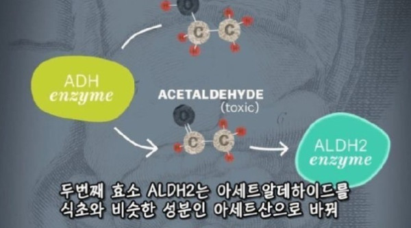 술 마시면 절대 안 되는 사람 특징