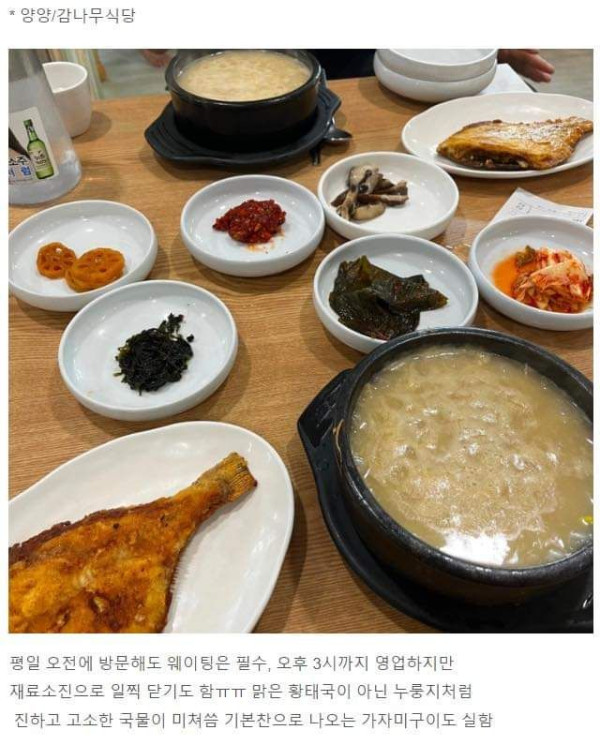 내돈내산 강원도 맛집 모음